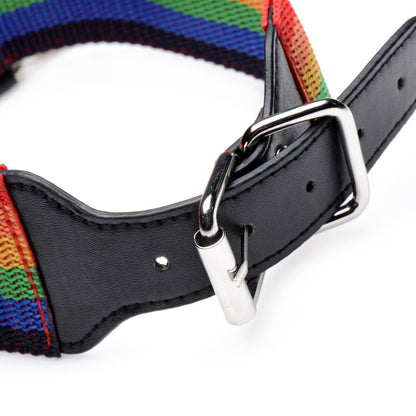 Kinky Pride Rainbow Bondage Set